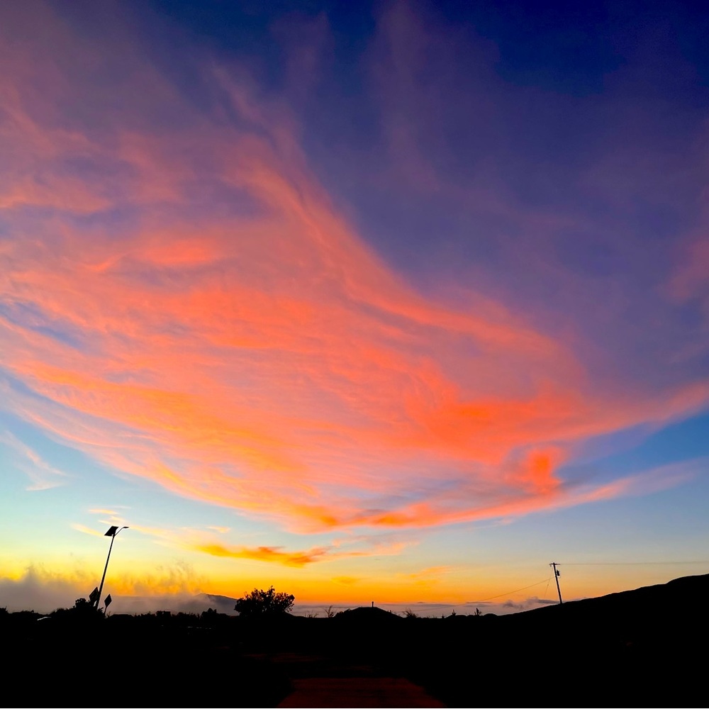 Meet your Posher, Leinaala